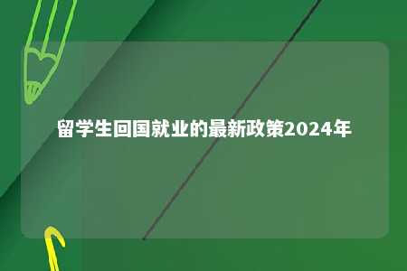 留学生回国就业的最新政策2024年